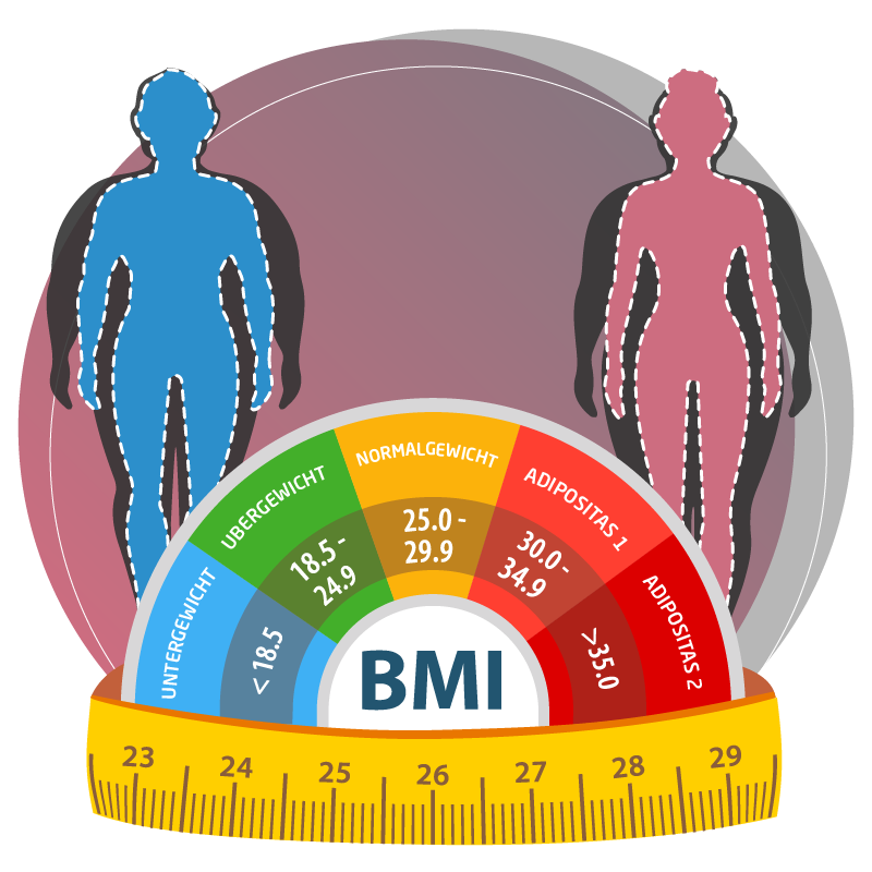 Online BMI-Rechner-MVT